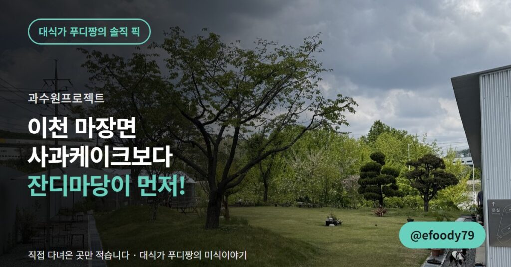 이천 카페 과수원프로젝트, 사과케이크보다 잔디마당이 먼저였습니다