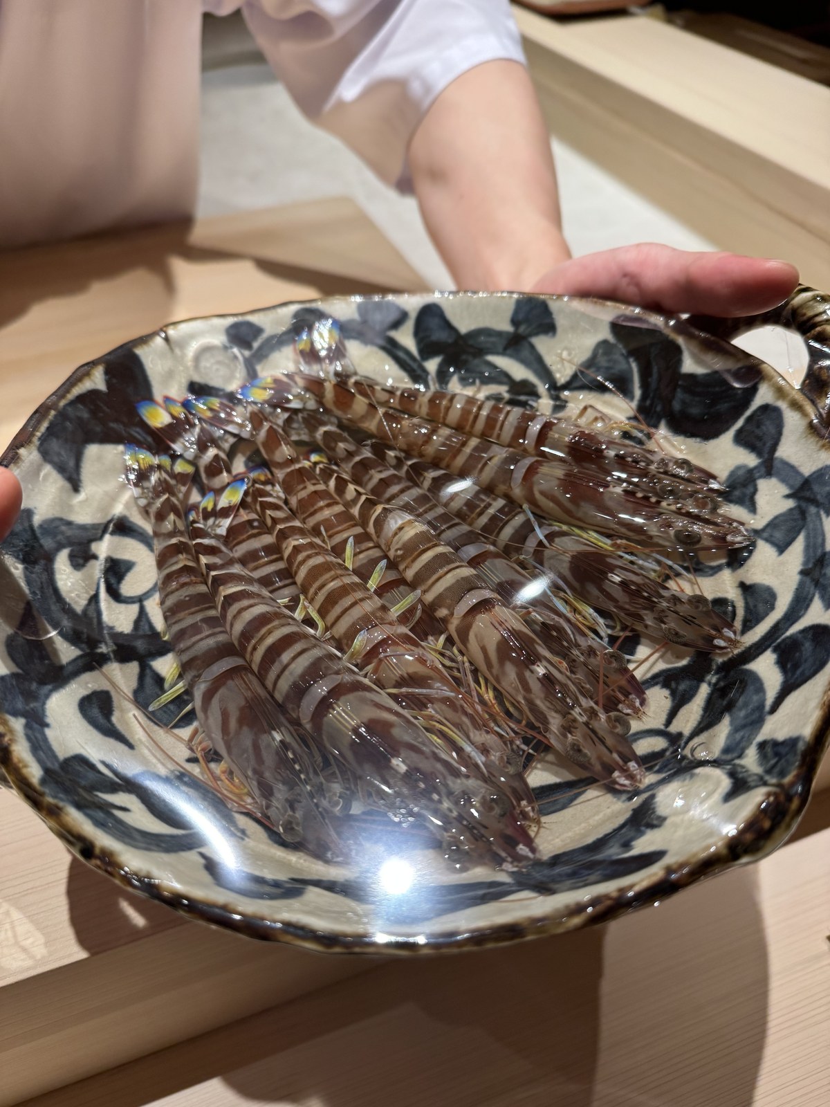살아있는 줄무늬 보리새우 여러 마리가 무늬 그릇에 담긴 장면