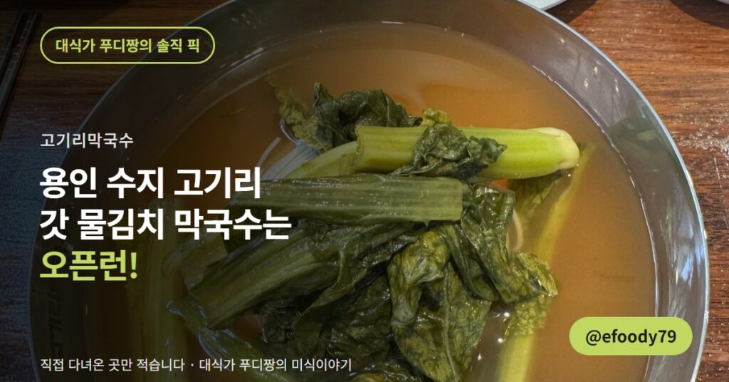용인 막국수 맛집 고기리막국수, 갓 물김치 막국수는 오픈런해야 먹습니다
